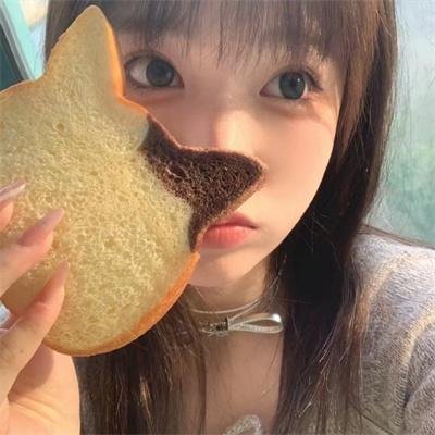 姐姐的妄想日记